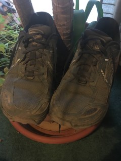 IMG_7012 retired shoes