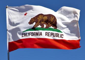64-100-10504-2 California Flag