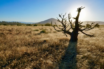FullSizeRender-1Lassen Hat Creek Rim Sun