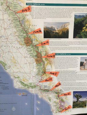 IMG_7448 progress July 3