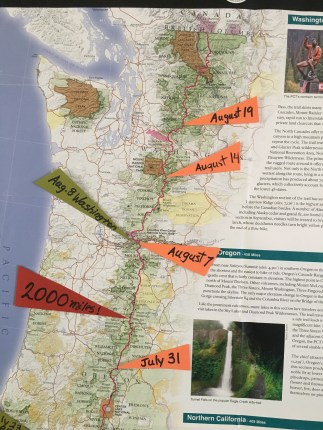 IMG_8015 Progress August 19