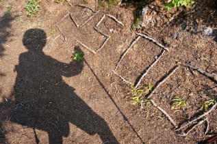 IMG_8397 2500 shadow