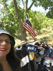 ready for launch on the 4th