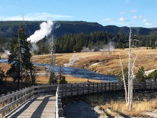 Yellowstone Boardwalk