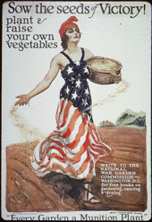 Victory Garden